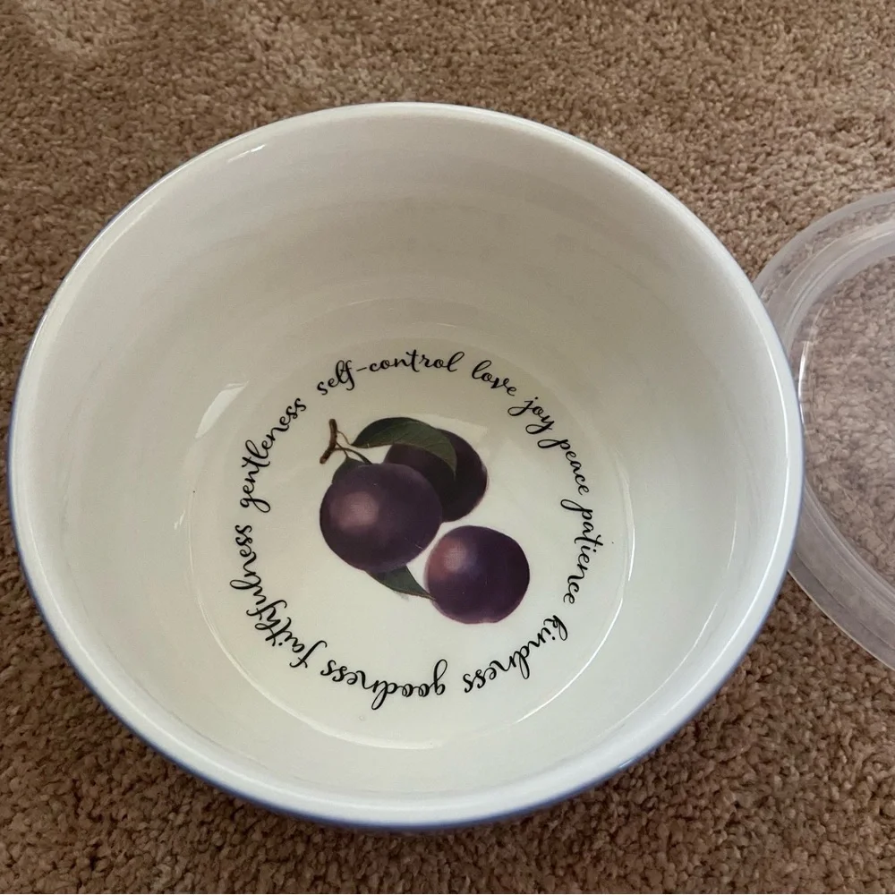 Bible Fruit of the Spirit Round Blue Microwave Pop-up Lid Container 30 oz
